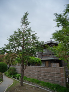葛飾山本亭２