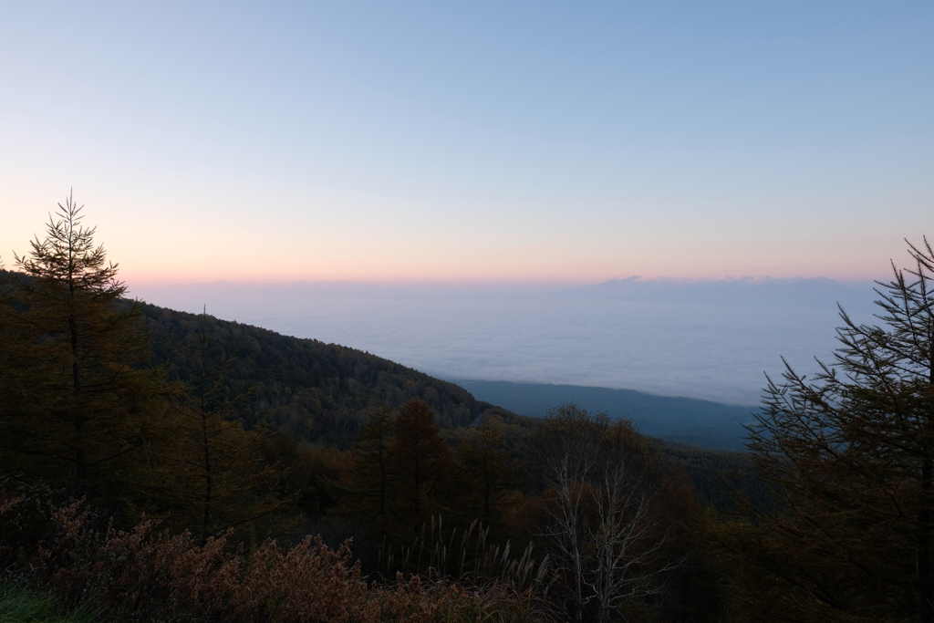 雲海なんだけど？