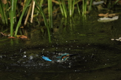 更新ファームウエアの成果５