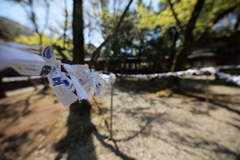 根津神社④