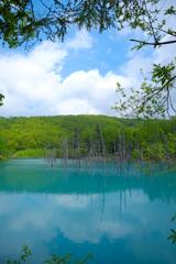 ４年前は旅してたのに２