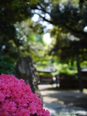 根津神社