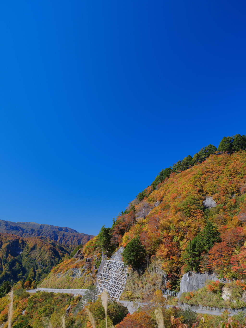 白山白川郷ホワイトロード２