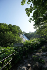 オシンコシンの滝１