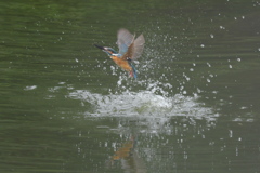 なかなかイケルかも２