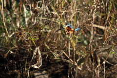 絡まった、抜けられない