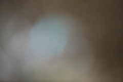 カワセミボール