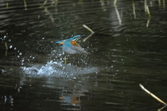 更新ファームウエアの成果１