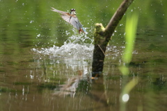 新兵器のパワー見よ２