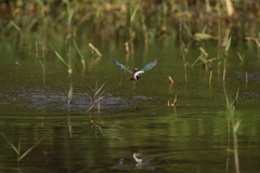 何とか取ったぞ２