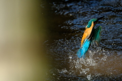 ミラーレスでも