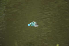 ターゲットロックオン２