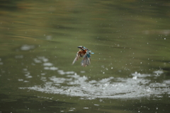 久しぶりの水がらみ3