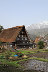 白川郷6