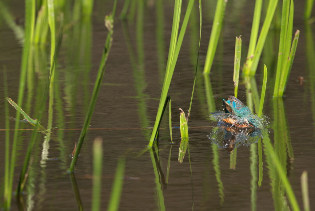 この間が欲しい・・２