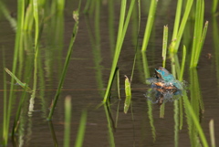 この間が欲しい・・２