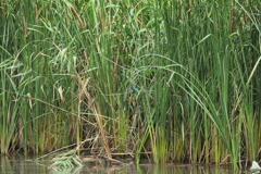 さらに２時間たっても・・・・・