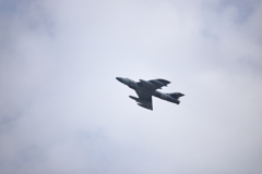 久しぶりのハンター