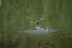 気合いで３