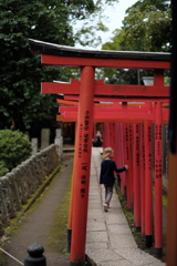 探し物は見つかった？