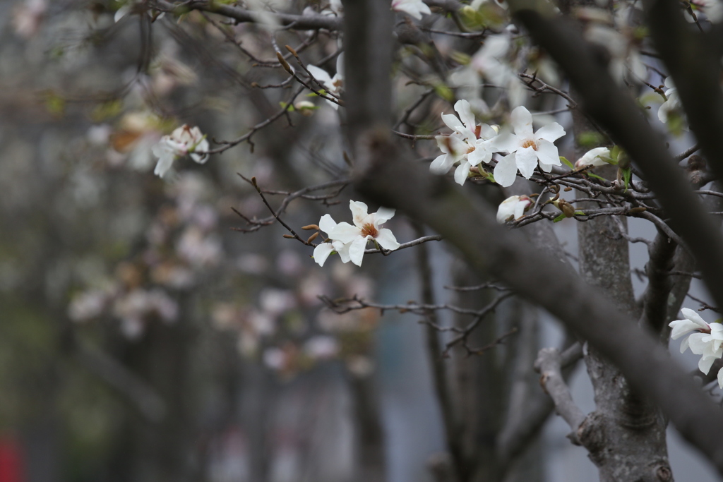 Σ１００－４００⑤