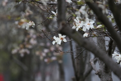 Σ１００－４００⑤