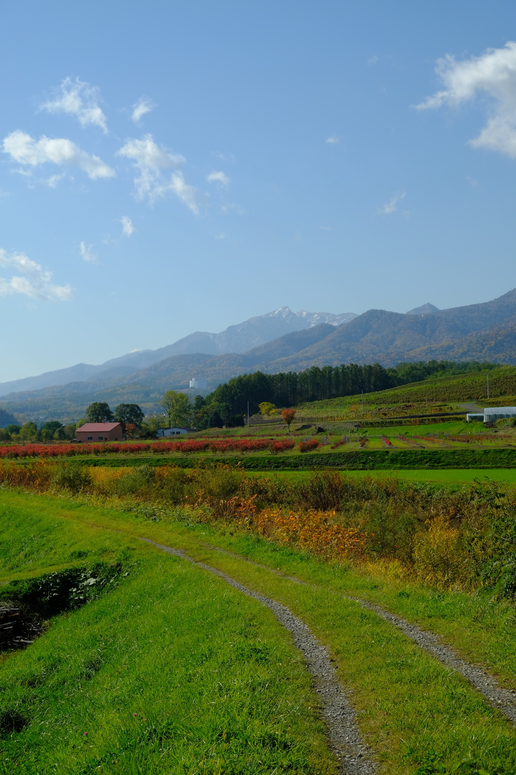 富良野岳が