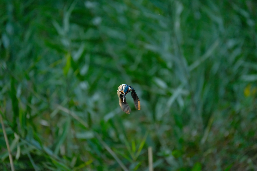 ミラーレスでも３