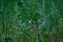 ミラーレスでも3