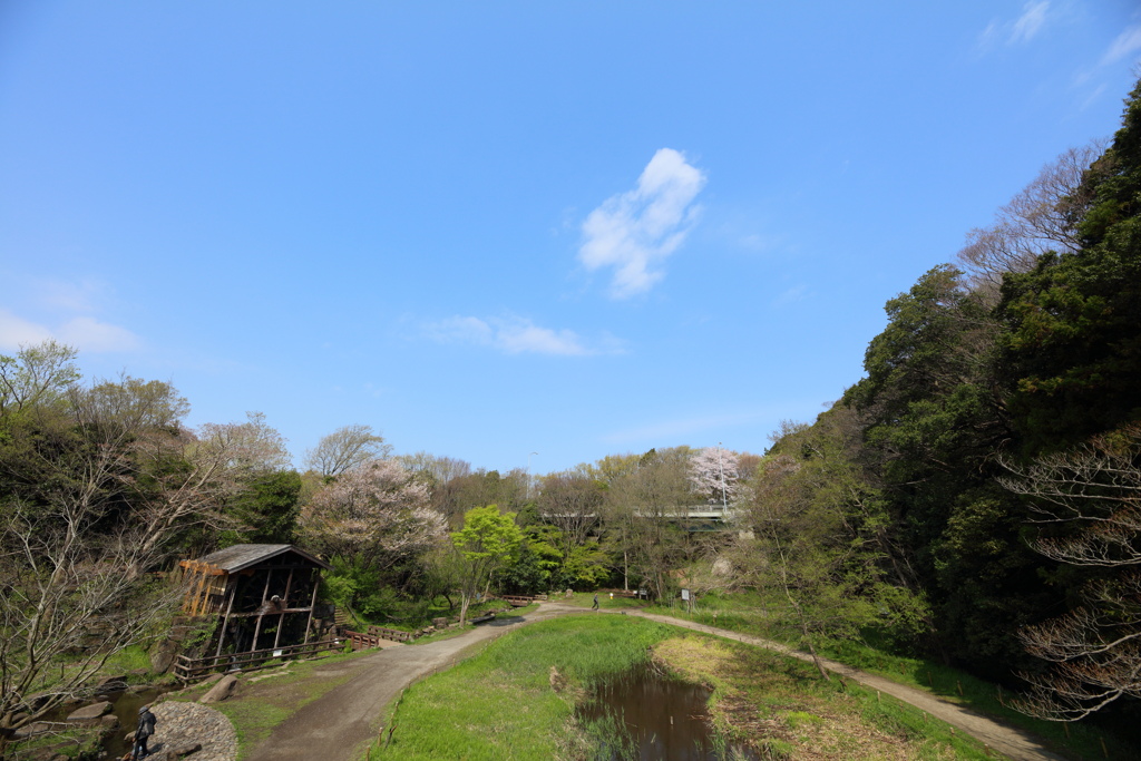 春欄間なのに②