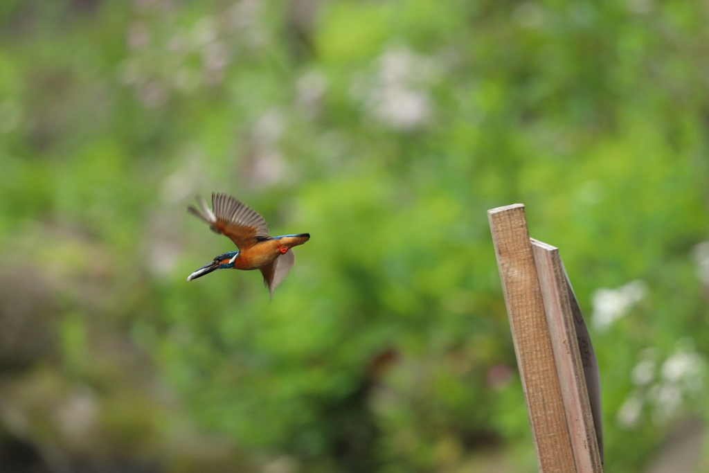 今から帰ります！