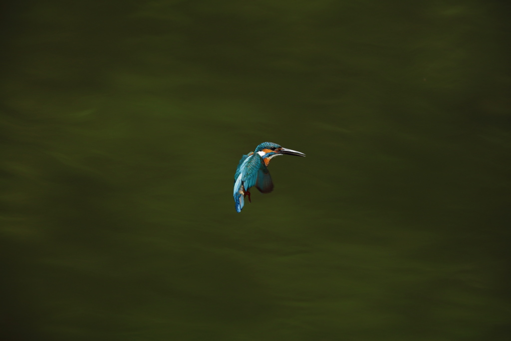 秒間５枚の不幸２