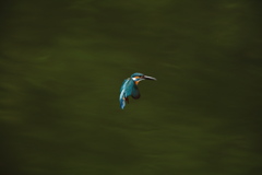 秒間５枚の不幸２