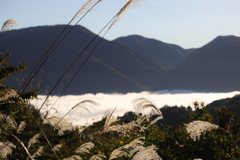 白川郷の雲海