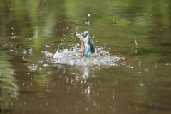 秒間16枚を見よ１