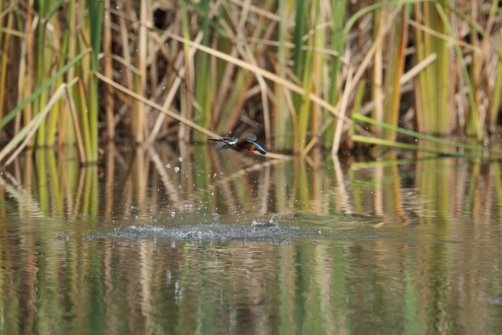 遠い（垂直上昇）