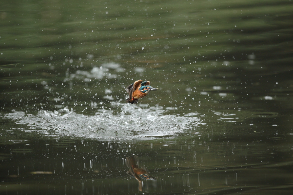 久しぶりの水がらみ６