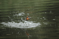 久しぶりの水がらみ6