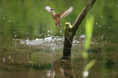 新兵器のパワー見よ３