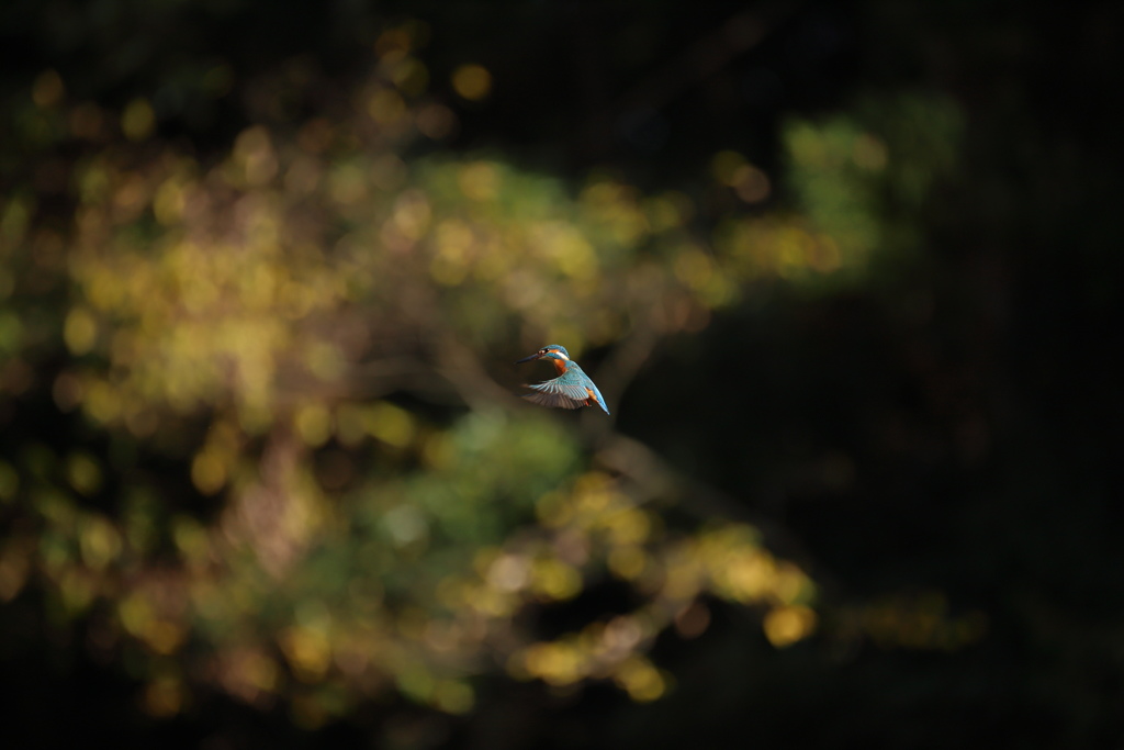 秒間6.5の不幸２