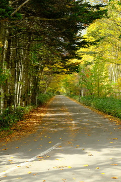 とりあえず秋の北海道、道