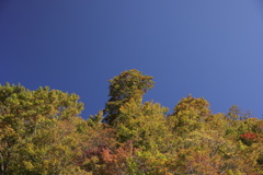 今年の飛騨高山ツアーの予定地２