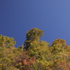 今年の飛騨高山ツアーの予定地２