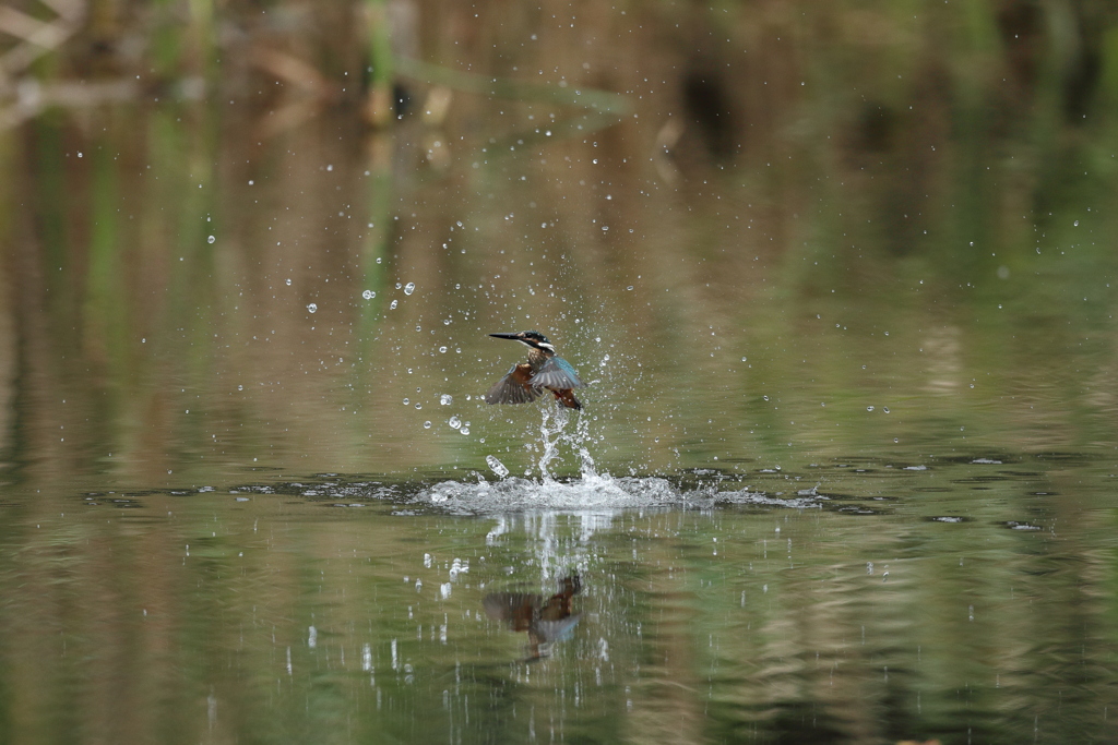 遠い（垂直上昇）
