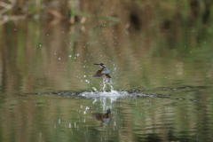 遠い(垂直上昇)