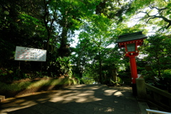 やっくんはちょっと遠くへ？？