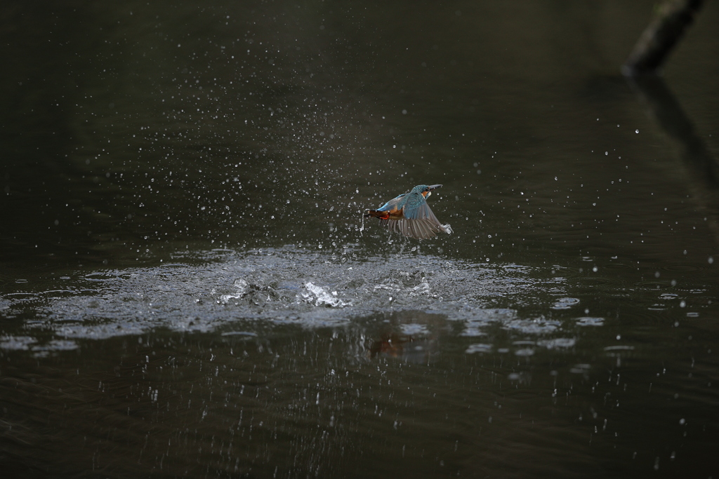 Ｂ面で・・・・２