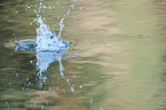 いつもより深く潜ってます