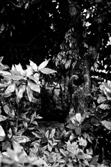 何か住んでるかな？