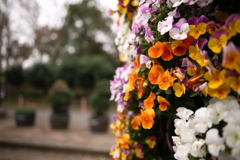 お花の塔１